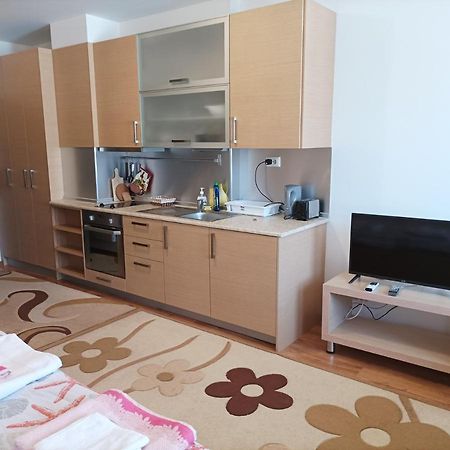 Studio Detelina Residence Bansko Esterno foto