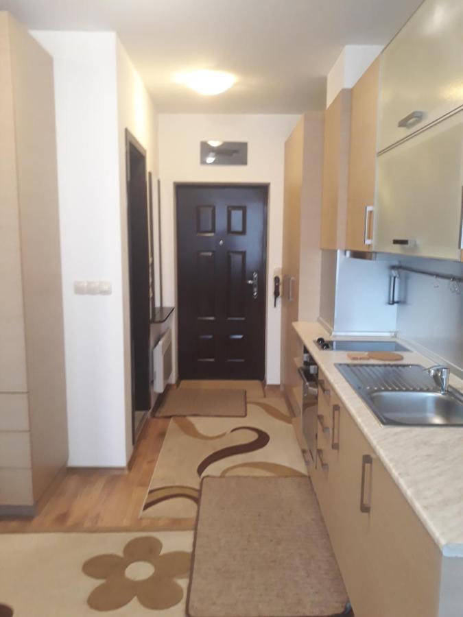 Studio Detelina Residence Bansko Esterno foto