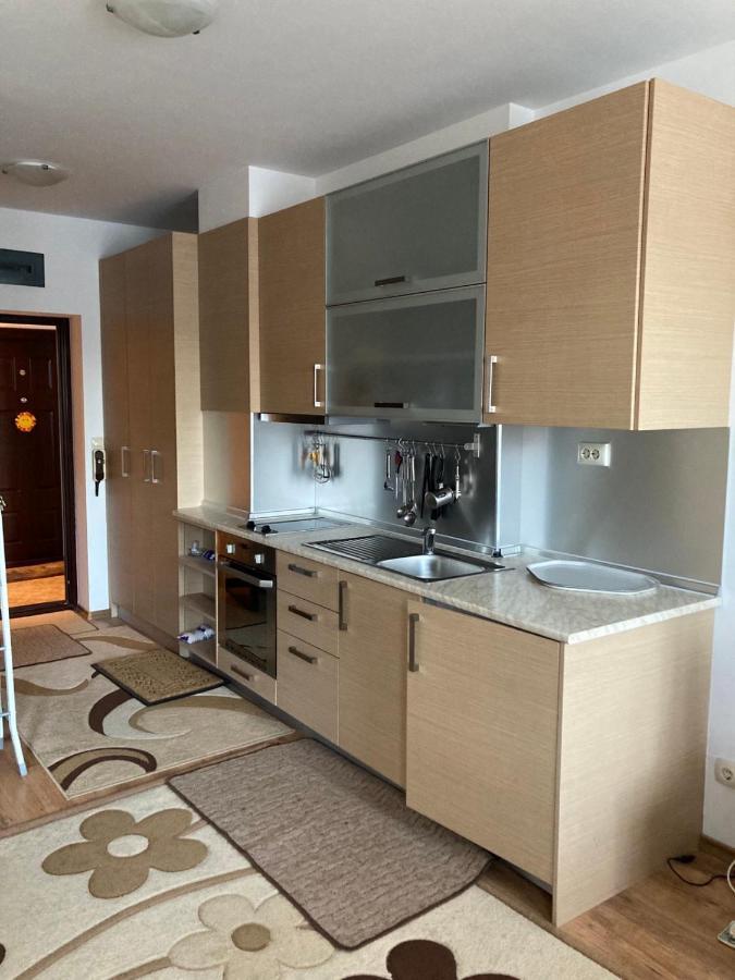 Studio Detelina Residence Bansko Esterno foto