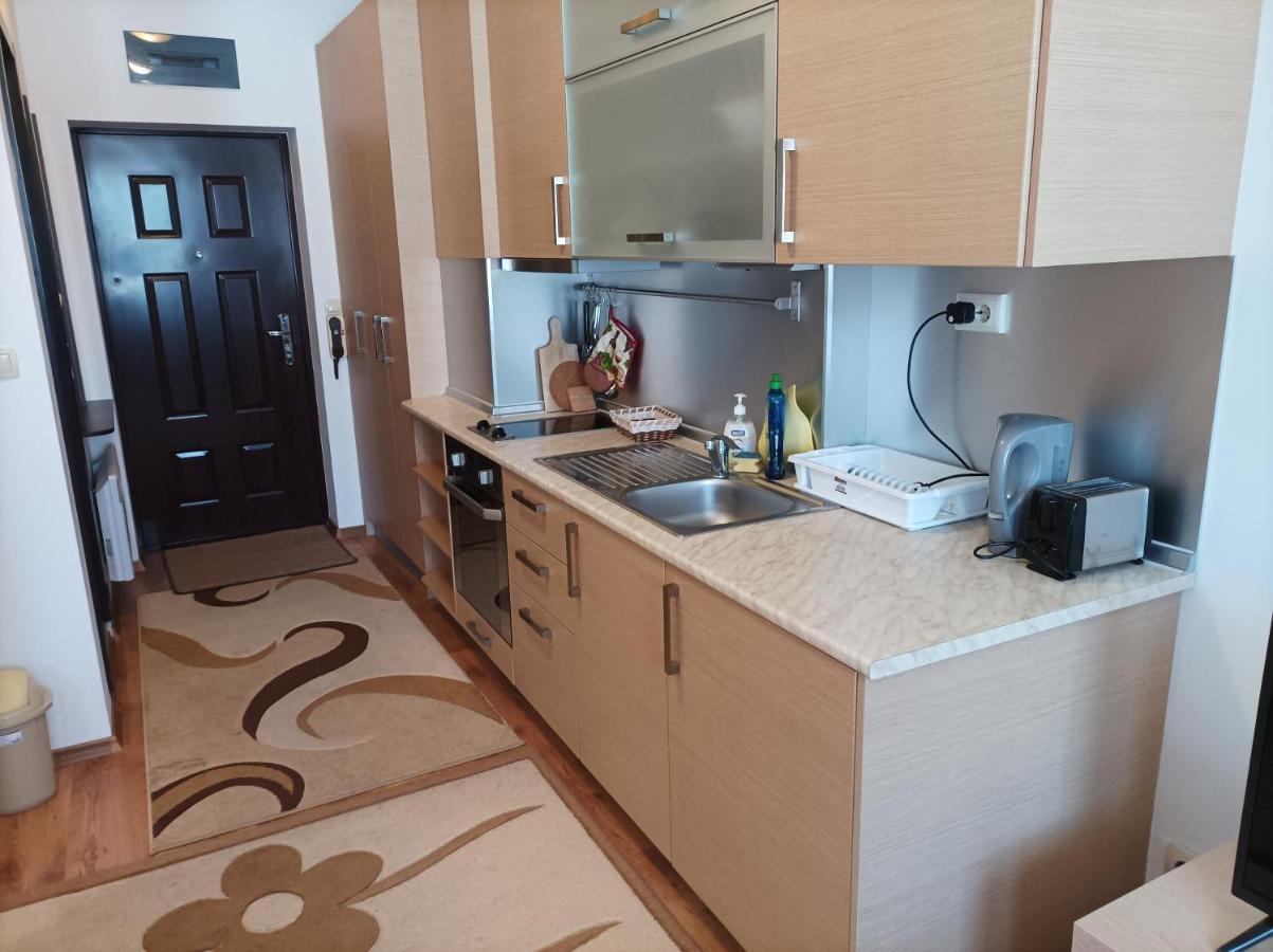 Studio Detelina Residence Bansko Esterno foto