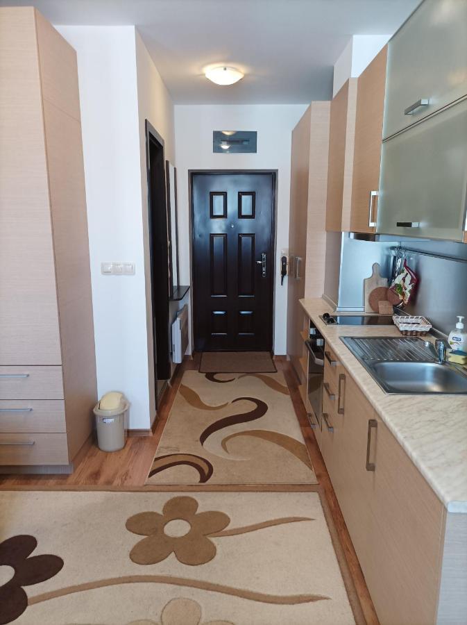 Studio Detelina Residence Bansko Esterno foto