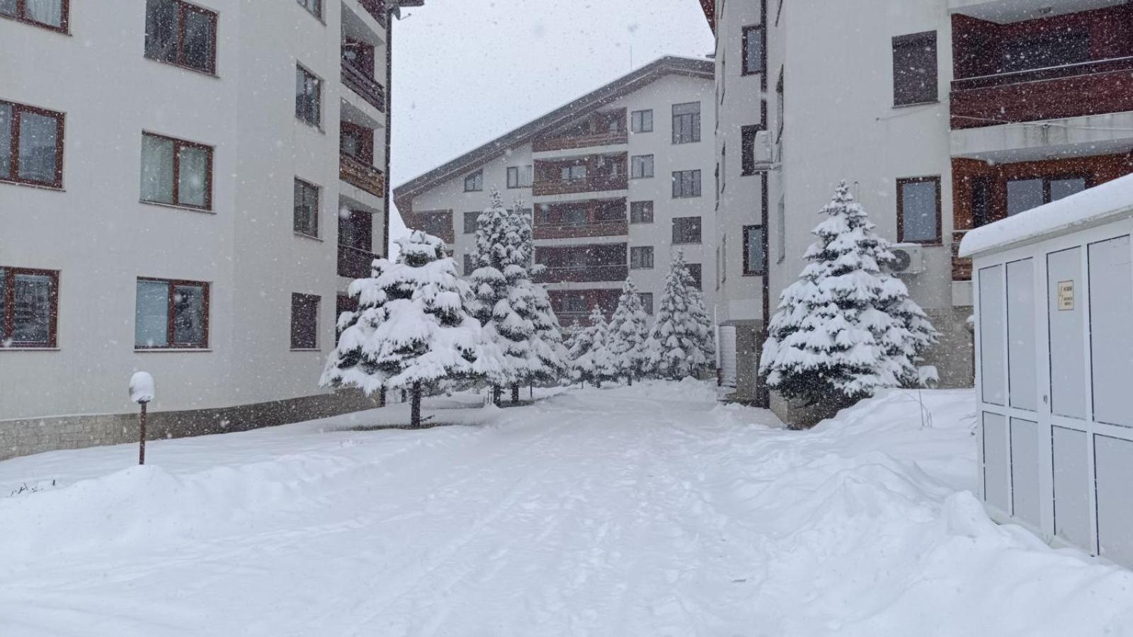Studio Detelina Residence Bansko Esterno foto