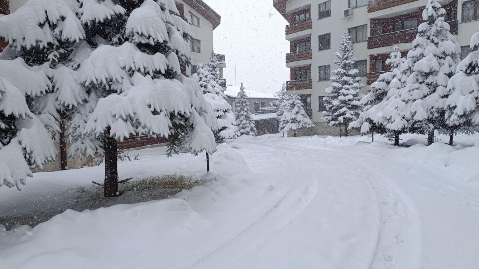 Studio Detelina Residence Bansko Esterno foto