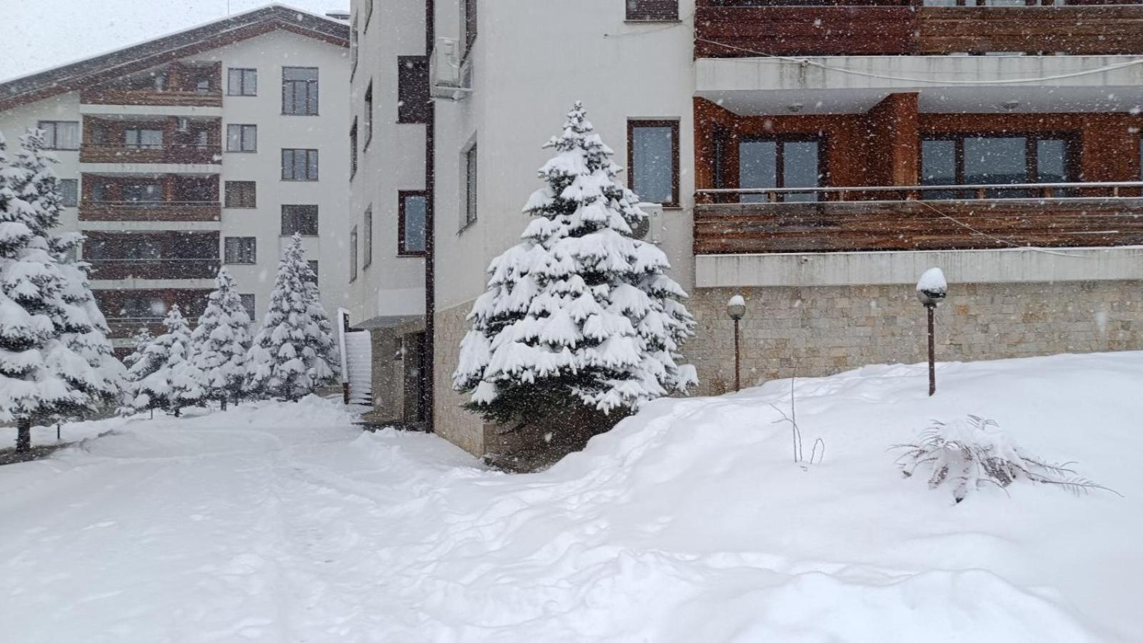 Studio Detelina Residence Bansko Esterno foto