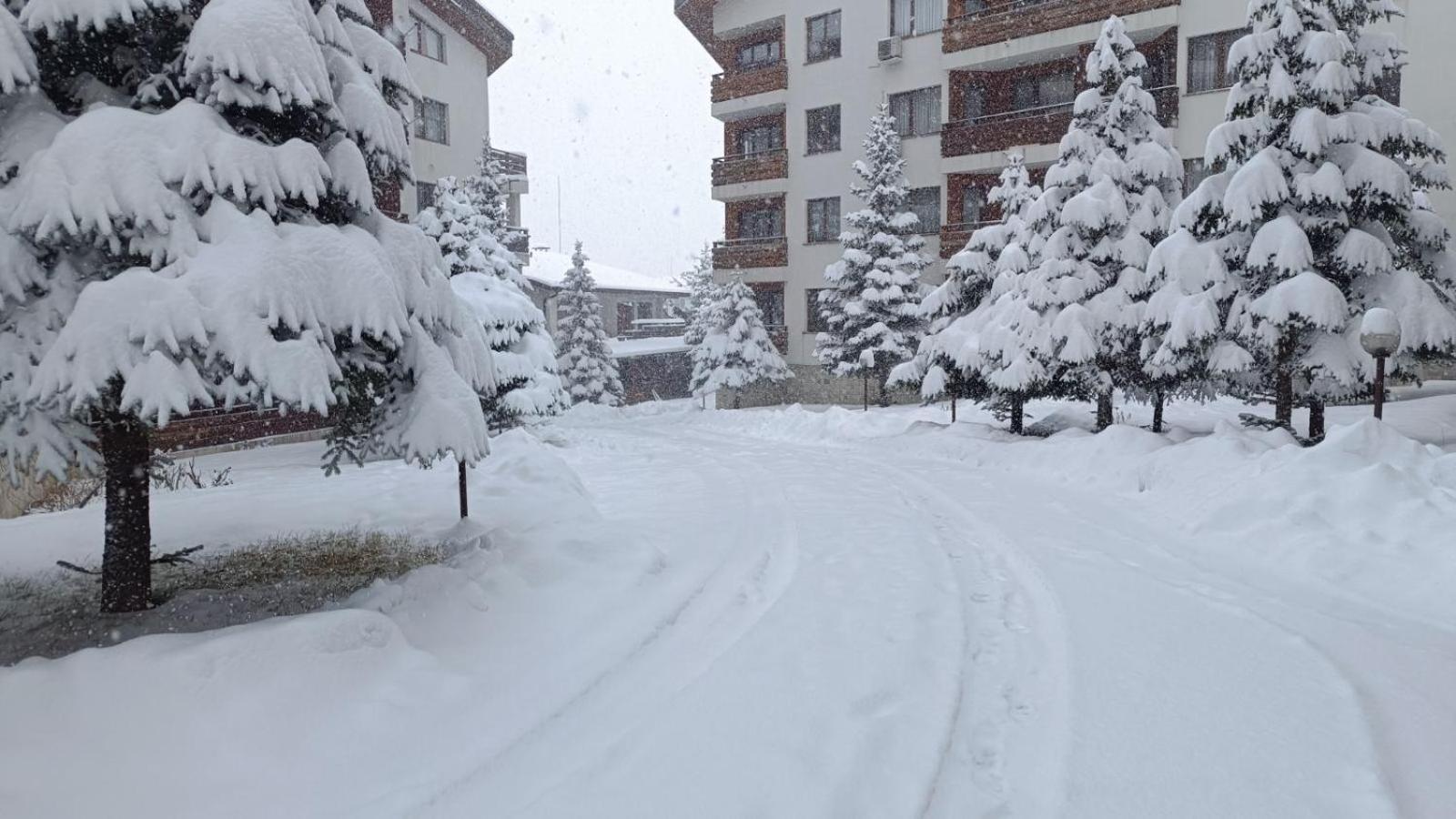 Studio Detelina Residence Bansko Esterno foto