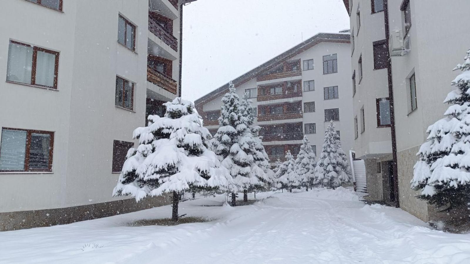 Studio Detelina Residence Bansko Esterno foto