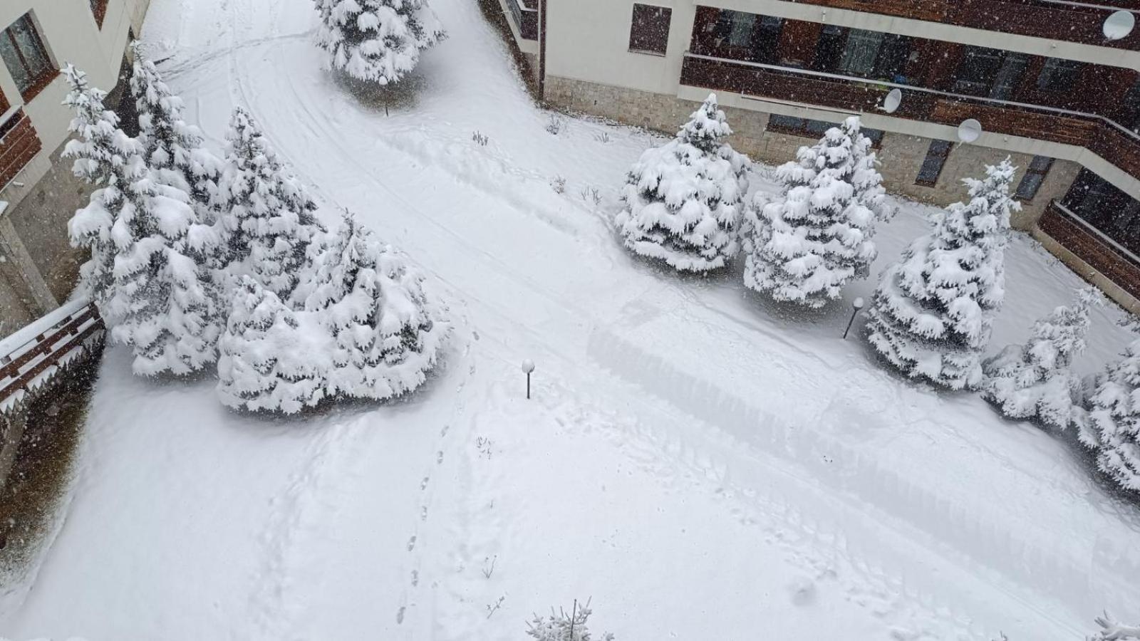 Studio Detelina Residence Bansko Esterno foto