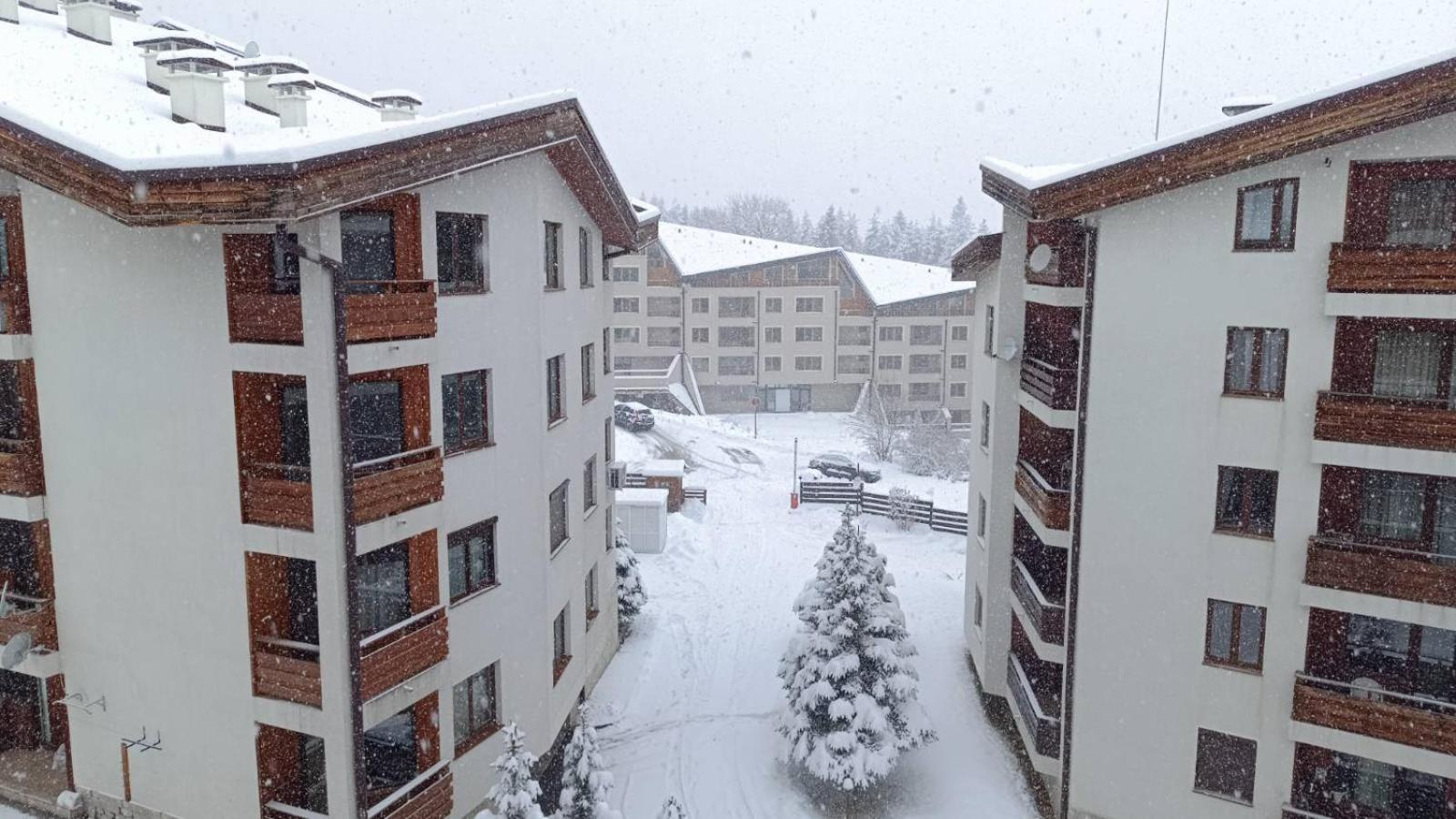 Studio Detelina Residence Bansko Esterno foto