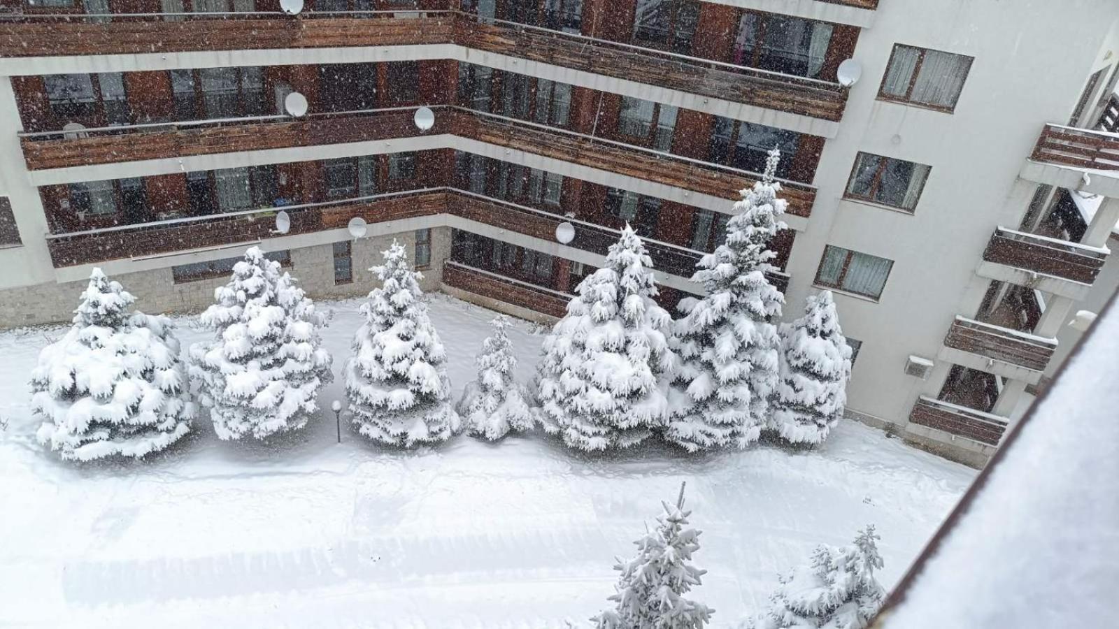 Studio Detelina Residence Bansko Esterno foto