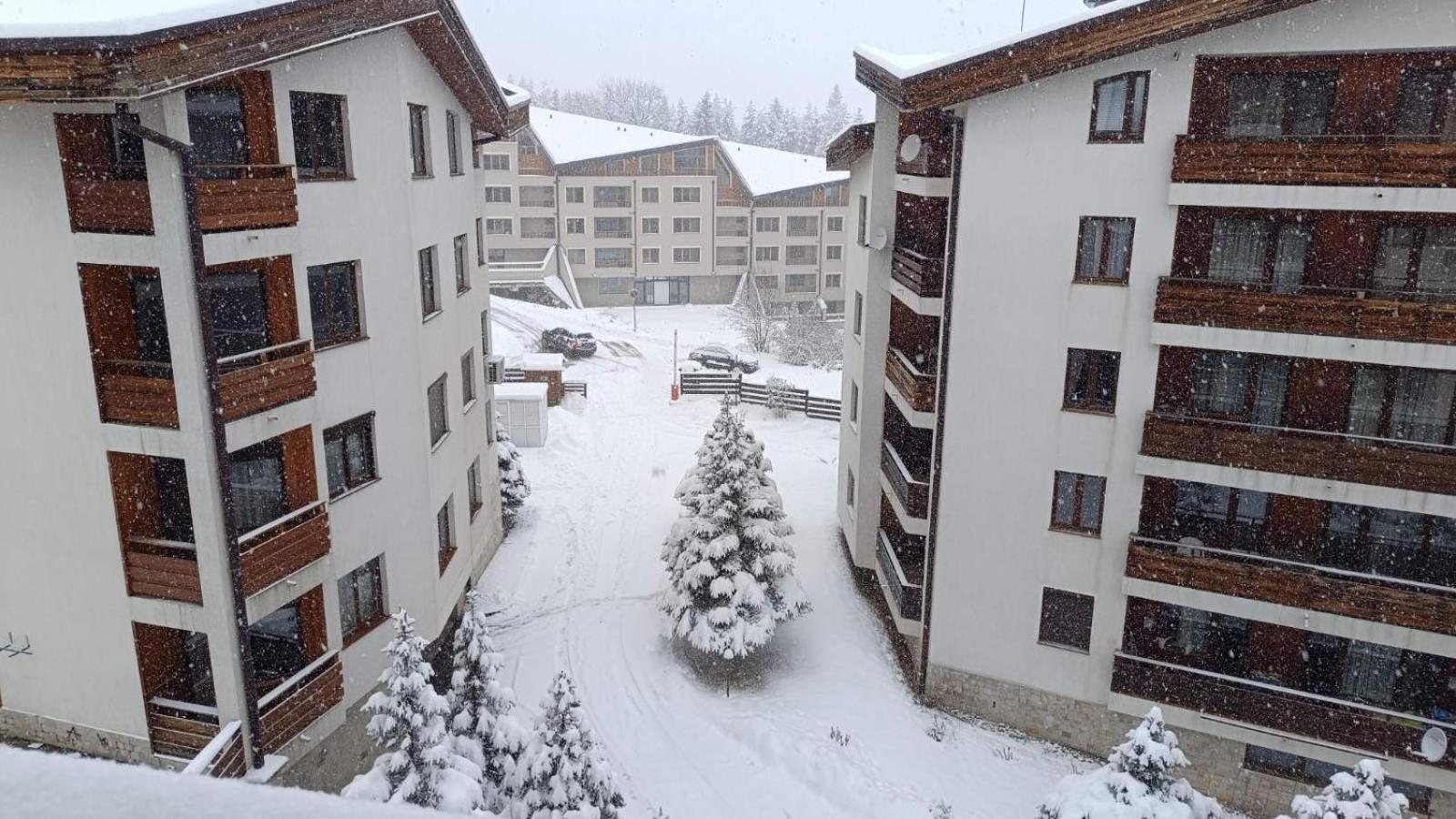 Studio Detelina Residence Bansko Esterno foto